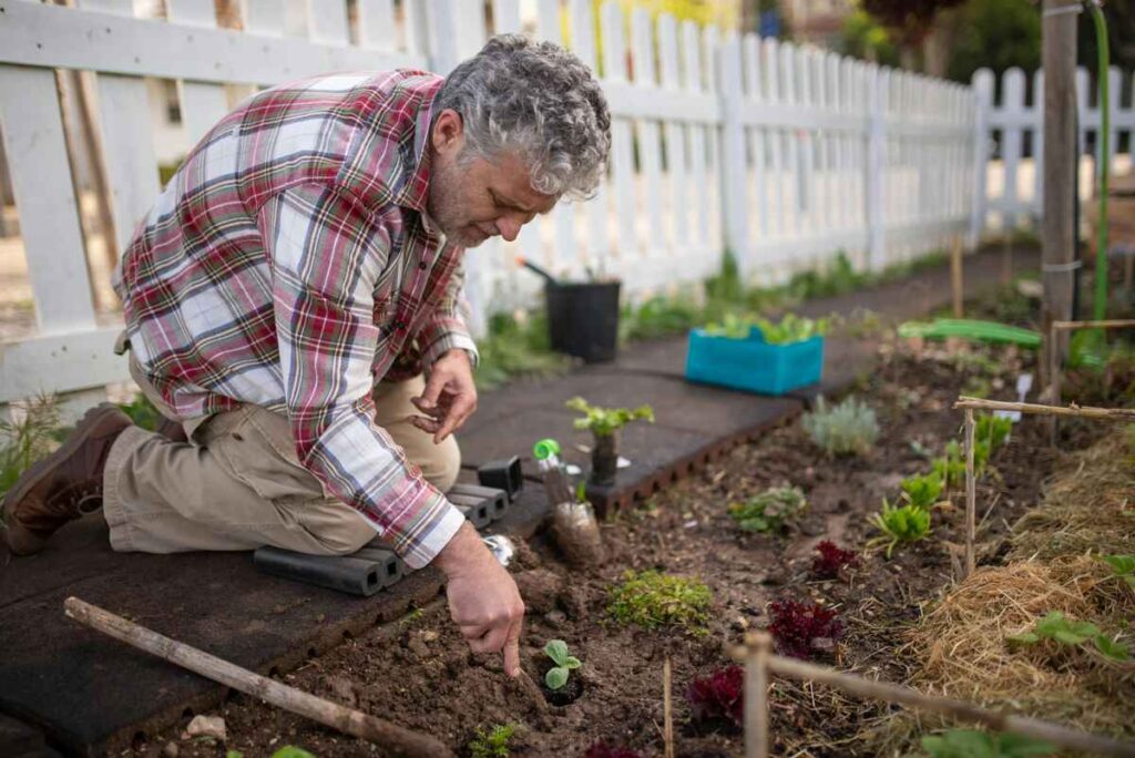 Blog: Beneficios de las actividades al aire libre para adultos mayores