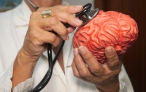 Médico examinando un modelo anatómico durante una consulta